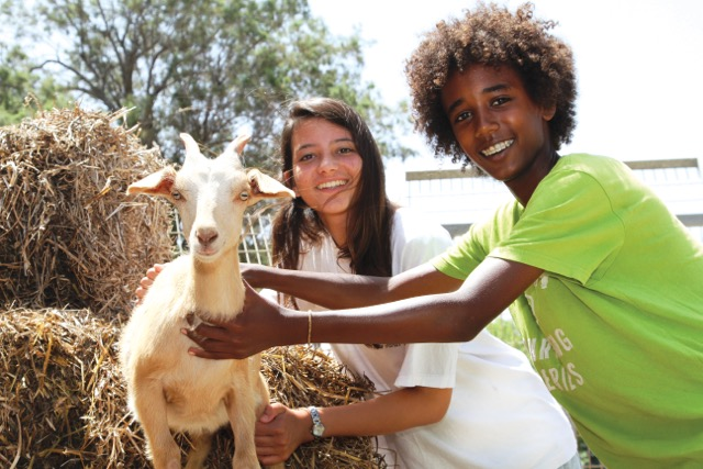 Youth Aliyah: A Life-Changer for At-Risk Young People in Israel