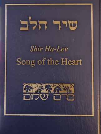 The featured image for Learn Shabbat Prayers & Songs with Natasha Shabat