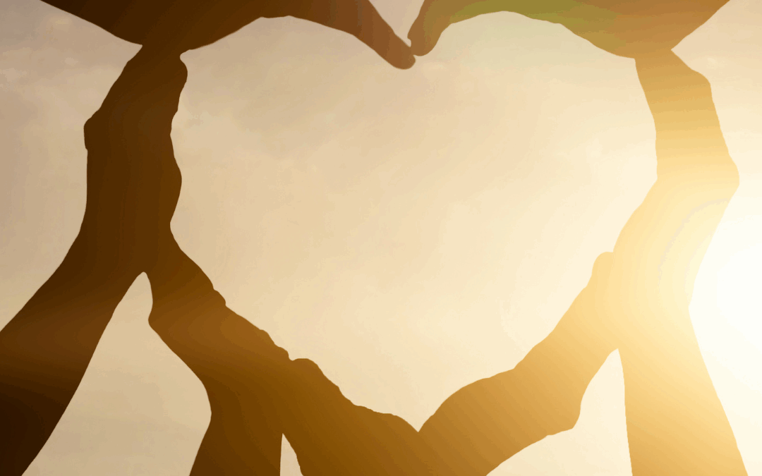 How We May Disagree About Israel/Palestine & Still Love Each Other