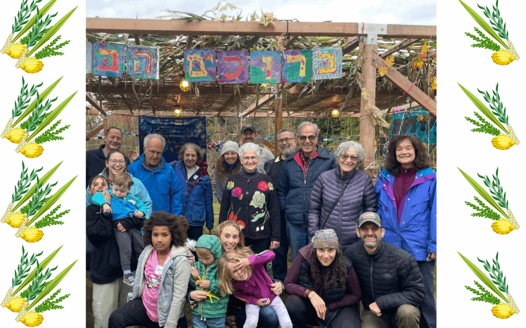 Sukkah Building & Decorating