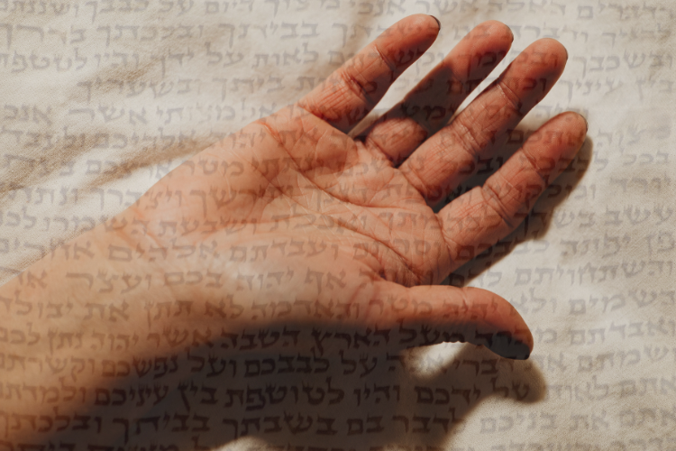 The featured image for Rabbi Darby Featured in Lilith Magazine